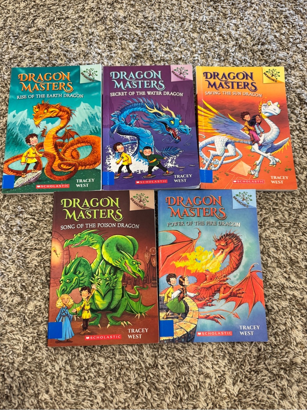 Dragon Masters Paperback Book Set - Colorful Fantasy Covers